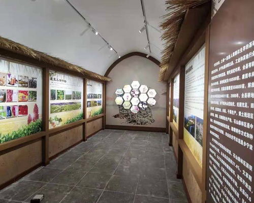 沁源展廳工廠 多媒體展廳工廠 山西藍鼎藝展展覽