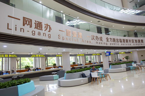 一網通辦 擬建會展統一服務窗口